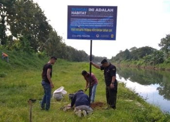 PT Semen Padang-PNM Latih Ratusan Perempuan Agar Lebih Mandiri