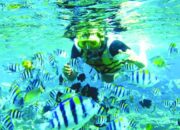 Agam Menyusul Tahun Depan, Sumbar Kini Punya Enam Kawasan Konservasi Perairan