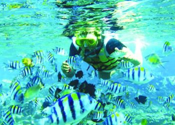 Agam Menyusul Tahun Depan, Sumbar Kini Punya Enam Kawasan Konservasi Perairan