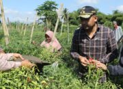 Audy Joinaldy Dorong Kelompok Tani Bangun Sistem Pertanian Terpadu