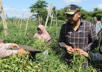 Audy Joinaldy Dorong Kelompok Tani Bangun Sistem Pertanian Terpadu