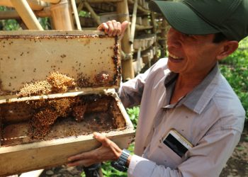 Percepat Sawahlunto Jadi Sentra Madu, Pemprov Sumbar Kucurkan Dana Rp20 Miliar
