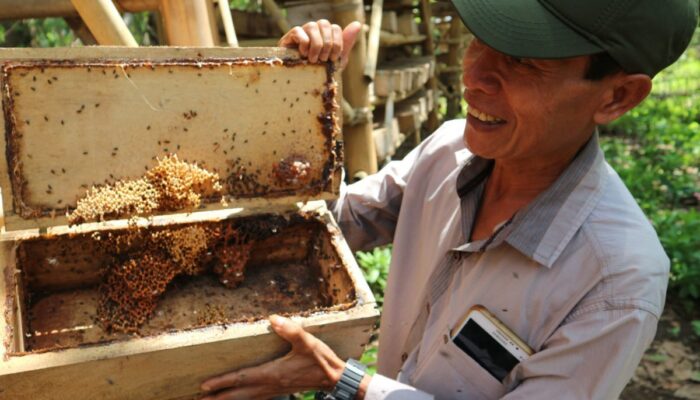 Percepat Sawahlunto Jadi Sentra Madu, Pemprov Sumbar Kucurkan Dana Rp20 Miliar