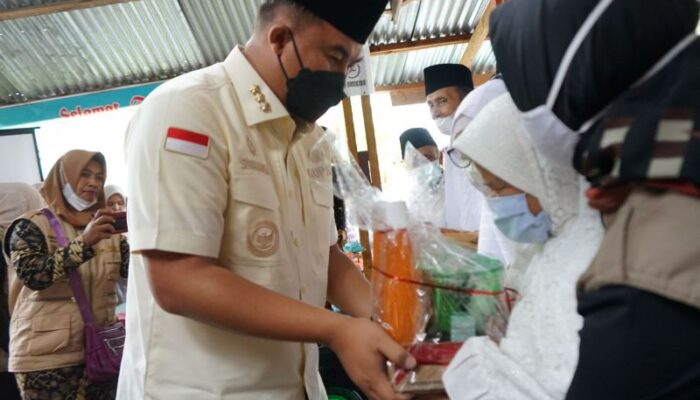 Bupati Dharmasraya: Lansia Diyakini Dapat Berkontribusi Pada Masyarakat