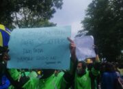 Puluhan Ojol Padang Ikut Geruduk Gedung DPRD Sumbar