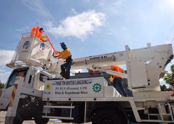 Lebih Hemat dari Solar, Pabrik Pengolahan Kelapa Sawit di Riau Beralih ke Listrik PLN