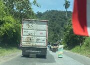 Sumbangan di Tengah Jalan Mulai Marak di Jalinsum