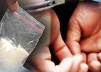 Polres Payakumbuh meringkus K (25) warga Jorong Indo Baleh Timur Kenagarian Mungo Kecamatan Luak dalam kasus peredaran narkoba jenis ganja.