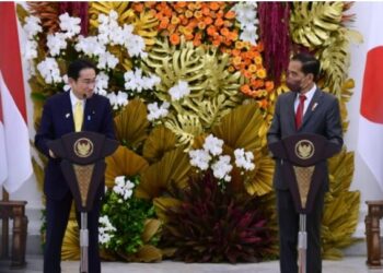 Perkuat Kerjasama dengan Jepang, Presiden Jokowi Minta Perluas Akses Ekspor Pertanian dan Perikanan Indonesia