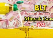 BLT Minyak Goreng Rp100 Ribu/Bulan, Berikut Rincian Penyaluranya