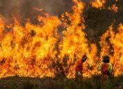 Satpol PP & Damkar Pariaman Keluarkan SE Soal Kebakaran