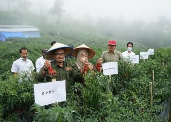 Begini Cara Bupati Tanah Datar Dorong Generasi Muda Turun Bertani