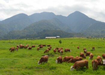 BPTUHPT Padang Mengatas