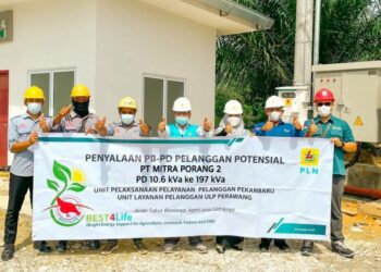Penuhi Kebutuhan Pabrik Porang di Siak, Listrik di Riau Masih Surplus untuk Investasi