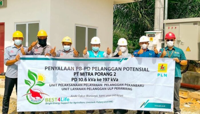 Penuhi Kebutuhan Pabrik Porang di Siak, Listrik di Riau Masih Surplus untuk Investasi