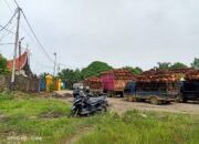 Keluhan Petani Sawit Tak Kunjung Direspon DPRD Dharmasraya, Kekhawatiran Pun Terjadi!