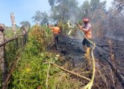 Seminggu Terakhir, Dua Kasus Karhutla Terjadi di Sijunjung