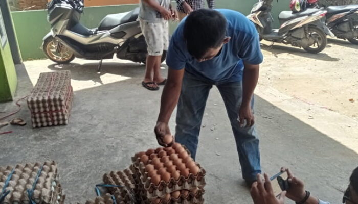 Harga Telur Ayam di Lima Puluh Kota Merangkak Naik