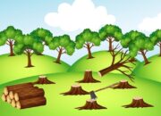 Penebangan Hutan, Satwa Liar di Mentawai Terancam Kehilangan Habitat