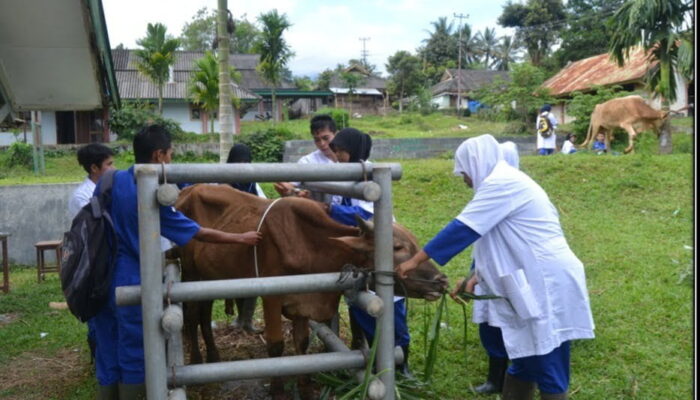 Jangan Main-main dengan Siswa SMK PP Padang Mangateh, Kompetensi Lulusanya Sertifikasi 3 Asia Pasific