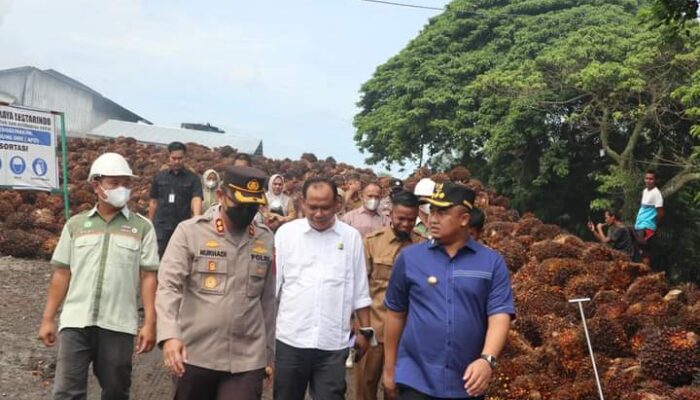 Bupati Sutan Riska: Bantuan Sapras dari Kementan dapat Tingkatkan Produktivitas Petani Sawit