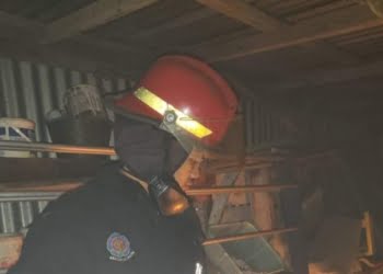 Lebah Terbang, Keluarga Munir Tenang Setelah Petugas Damkar Datang