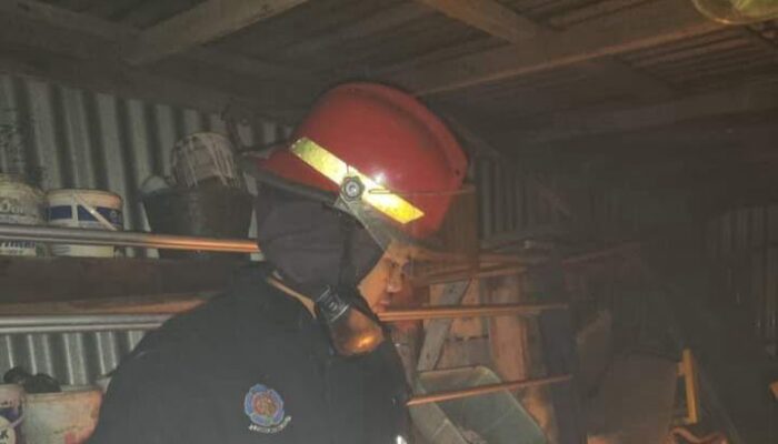 Lebah Terbang, Keluarga Munir Tenang Setelah Petugas Damkar Datang