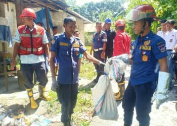 Lagi, Ular Mematikan King Cobra Sepanjang 3 Meter Masuk ke Rumah Warga di Padang