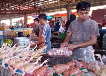 INFO HARGA: Cabai Mulai Turun Jadi Rp80 Ribu/kilogram, Ayam Potong Rp70 Ribu/ekor