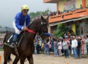 Pacu Kuda Padang Panjang: Enam Kuda Jawara Berambisi Raih Juara, Kuda Hitam Siap-siap Menikung!