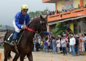 Pacu Kuda Padang Panjang: Enam Kuda Jawara Berambisi Raih Juara, Kuda Hitam Siap-siap Menikung!