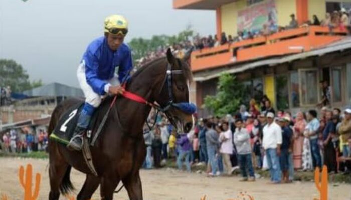 Pacu Kuda Padang Panjang: Enam Kuda Jawara Berambisi Raih Juara, Kuda Hitam Siap-siap Menikung!