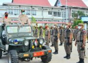 Pegawai Honorer Dihapus,  Puluhan Ribu Anggota Satpol PP Terancam Kehilangan Pekerjaan