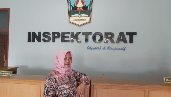 Peran APIP Pastikan Desain Kebijakan PBJ Dukung Penggunaan Produk dalam Negeri