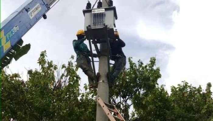 Wujudkan Seluruh Indonesia Berlistrik, PLN Terangi 3.339 Keluarga di 71 Desa Terpencil Sulawesi Barat 