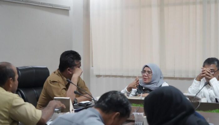 Audiensi dengan Walikota Sawahlunto, PLN Sumbar Bahas Kerjasama PPJ dan Penertiban PJU Liar