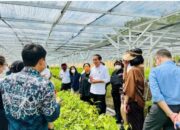 Presiden Jokowi: Persemaian Mentawir Bentuk Keseriusan Pemerintah Menata Lingkungan