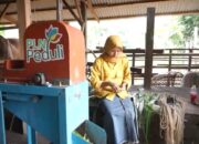 Limbah Daun Nenas Produk UMKM Binaan PLN Tembus Pasar Eropa