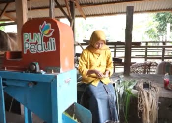 Limbah Daun Nenas Produk UMKM Binaan PLN Tembus Pasar Eropa