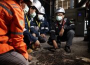 Target EBT 23 Persen, PLN Pasang Teknologi co-Firing di 35 PLTU Tahun Ini