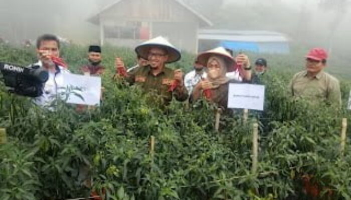 Mantap! Petani di Tanah Datar Disekolahkan Agar Bertani Lebih Produktif Lagi dengan Alih Teknologi