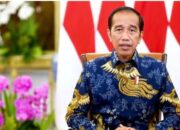 Siap-siap! Pemerintah Gencarkan Lagi Pelaksanaan Vaksin Penguat (Booster)