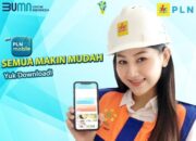 PLN Berhasil Efisiensi Rp10,85 Triliun Berkat Program Digitalisasi Bisnis