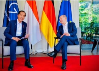 Bertemu Kanselir Jerman, Presiden Jokowi Tawarkan Kerjasama Industri Mobil Listrik dan Energi Terbarukan