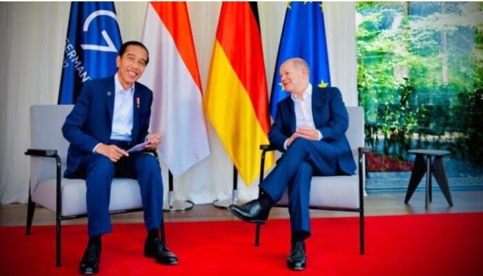 Bertemu Kanselir Jerman, Presiden Jokowi Tawarkan Kerjasama Industri Mobil Listrik dan Energi Terbarukan