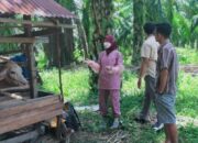 42 Ekor Sapi di Pasaman Barat Alami Suspect PMK