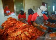 Wagub Sumbar: Ayo Bergerak! Ekonomi Digital Mendukung Terciptanya 100 Ribu Women Entrepreneur Millenial