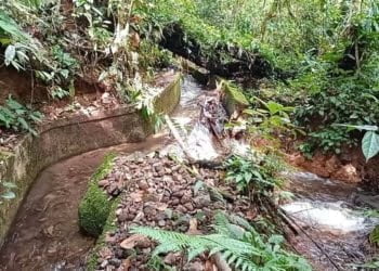 Temui Wamentan, Bupati Pasbar Laporkan Warganya Tak Bisa Bertani Karena 193 Irigasi Tersier Masih Rusak Pasca-Gempa