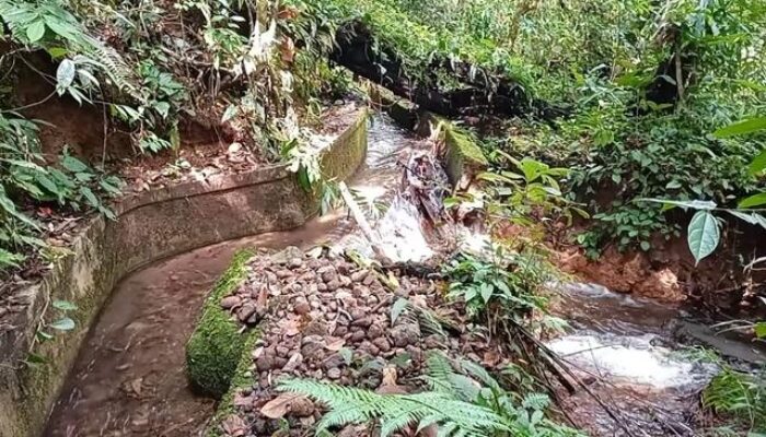 Temui Wamentan, Bupati Pasbar Laporkan Warganya Tak Bisa Bertani Karena 193 Irigasi Tersier Masih Rusak Pasca-Gempa