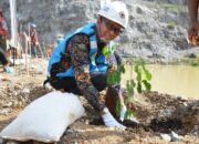 Peringati Hari Lingkungan Hidup Sedunia, Semen Padang Tanam Pohon di Area Reklamasi Tambang